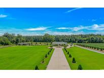 Expansive property featuring a long driveway leading to a charming house with lush green lawns and mature trees at 15810 County Line Rd., Andrews, SC 29510