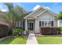 Charming home entrance with a palm tree, colorful bushes and a walkway leading to a black front door at 232 White Water Loop, Conway, SC 29526