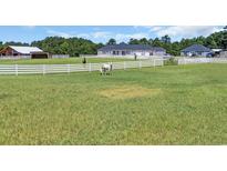 Spacious, fenced property featuring horses grazing in a lush, expansive green front yard with white fencing at 7356 Johnson Shortcut Rd., Conway, SC 29527