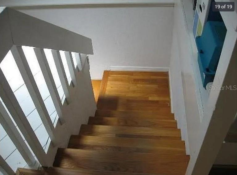 Photo #19