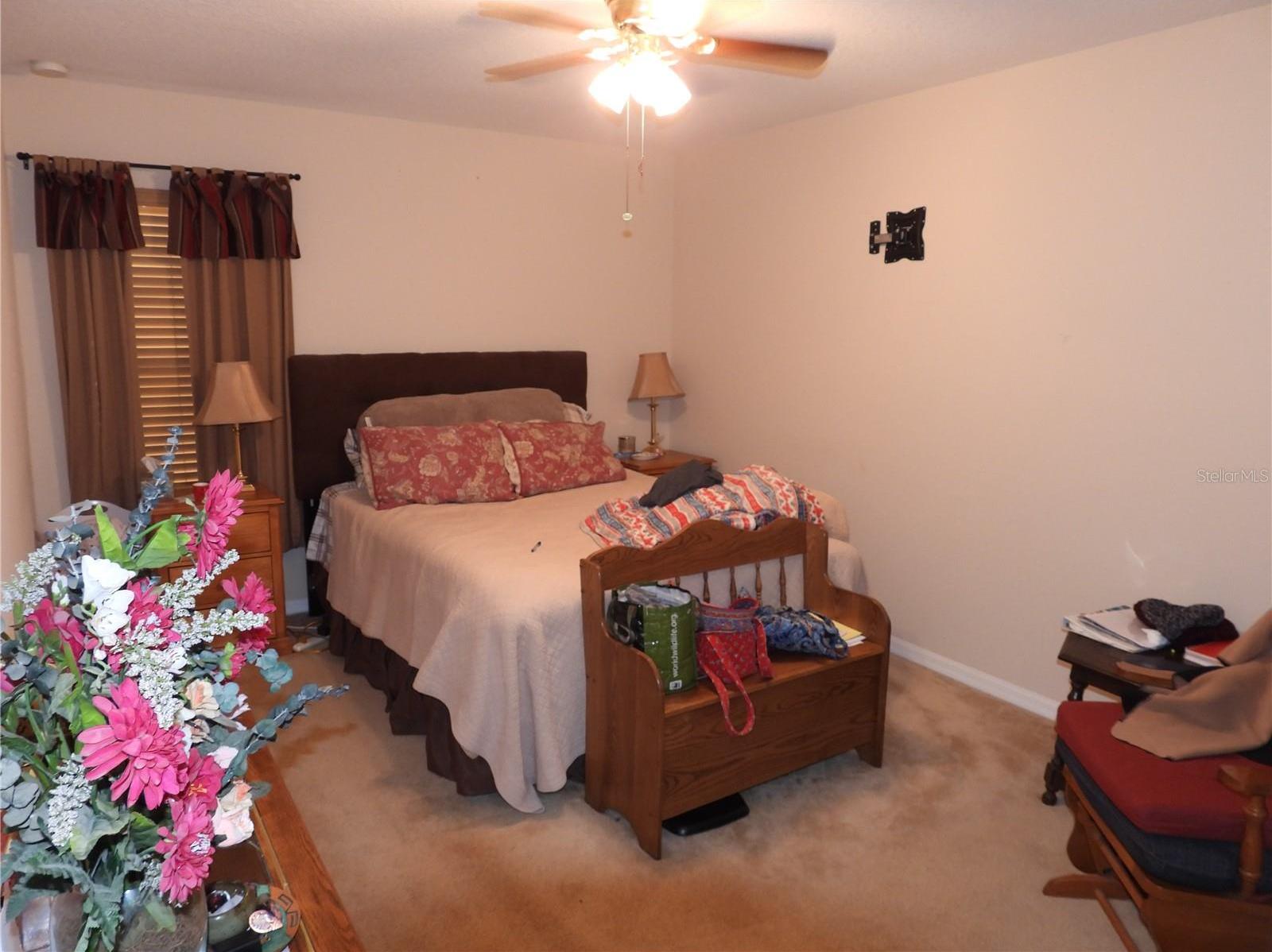 Photo #29