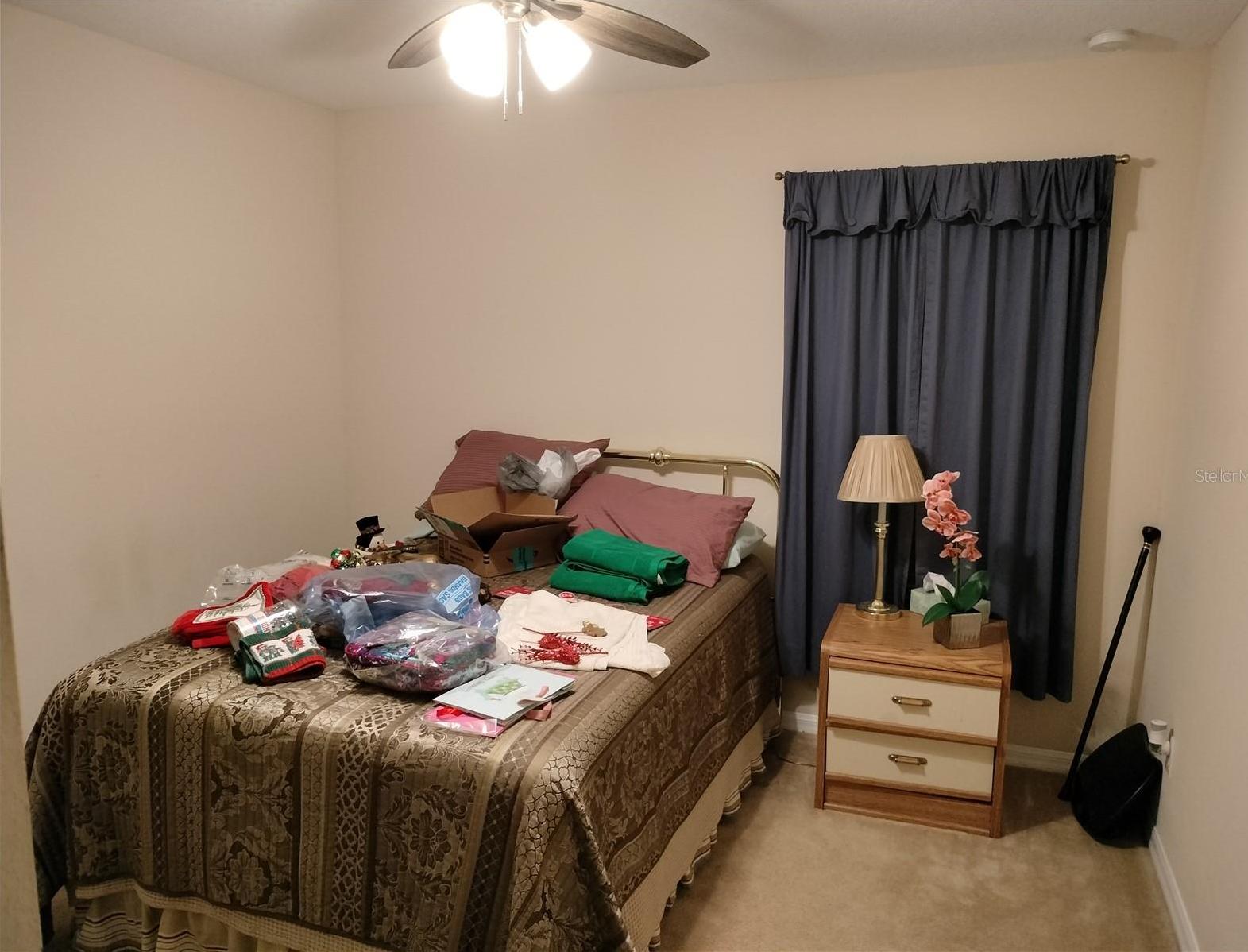 Photo #30