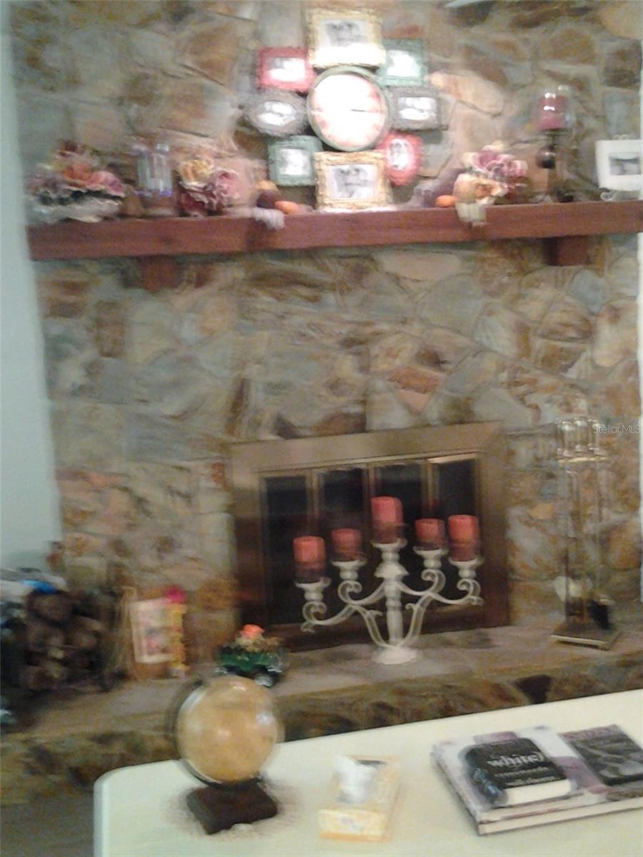 Photo #14