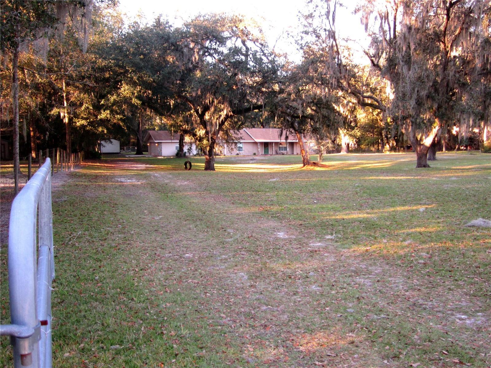 Photo #8