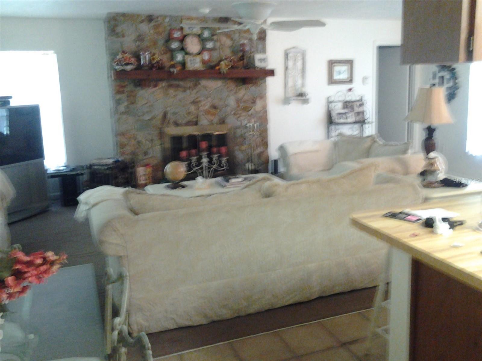 Photo #11