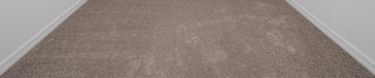 Photo #14