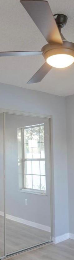 Photo #11