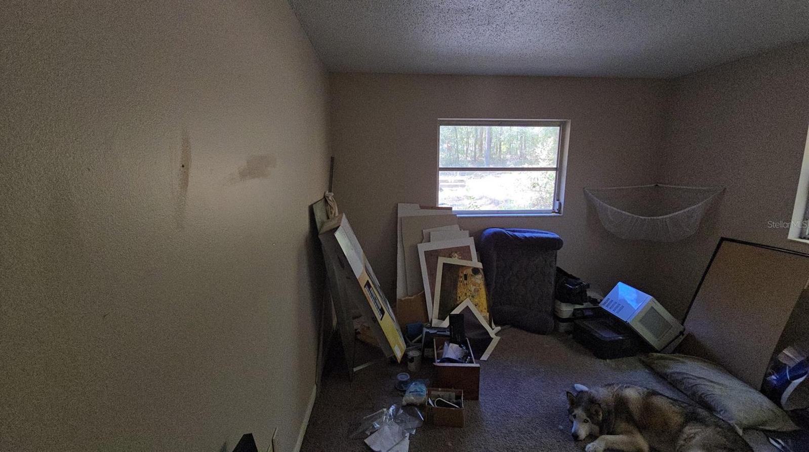 Photo #22