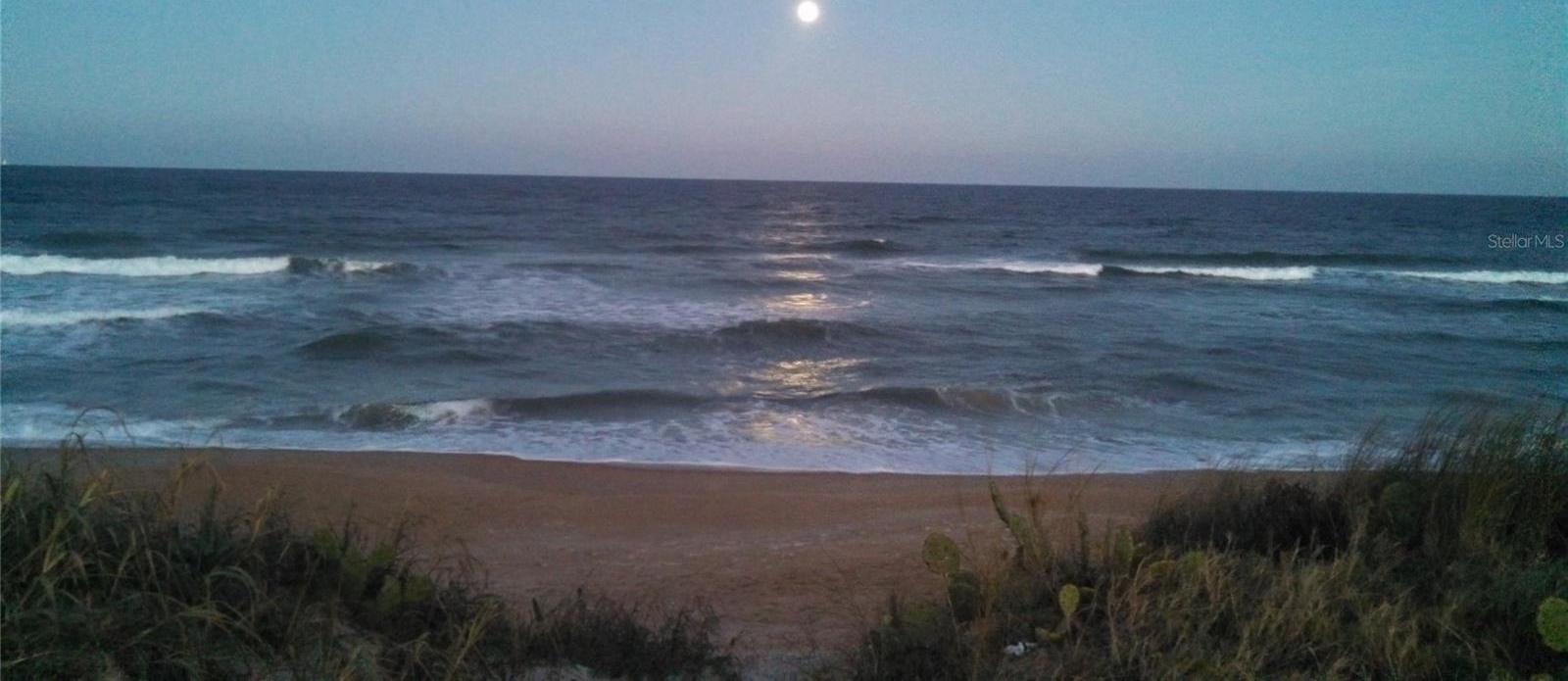 Photo #34
