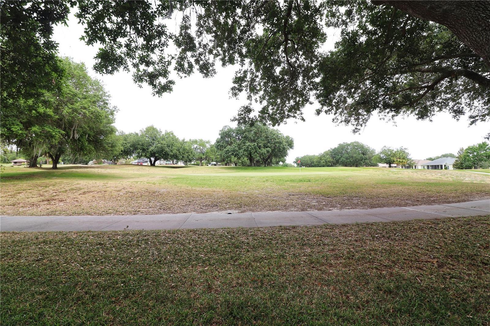Photo #23