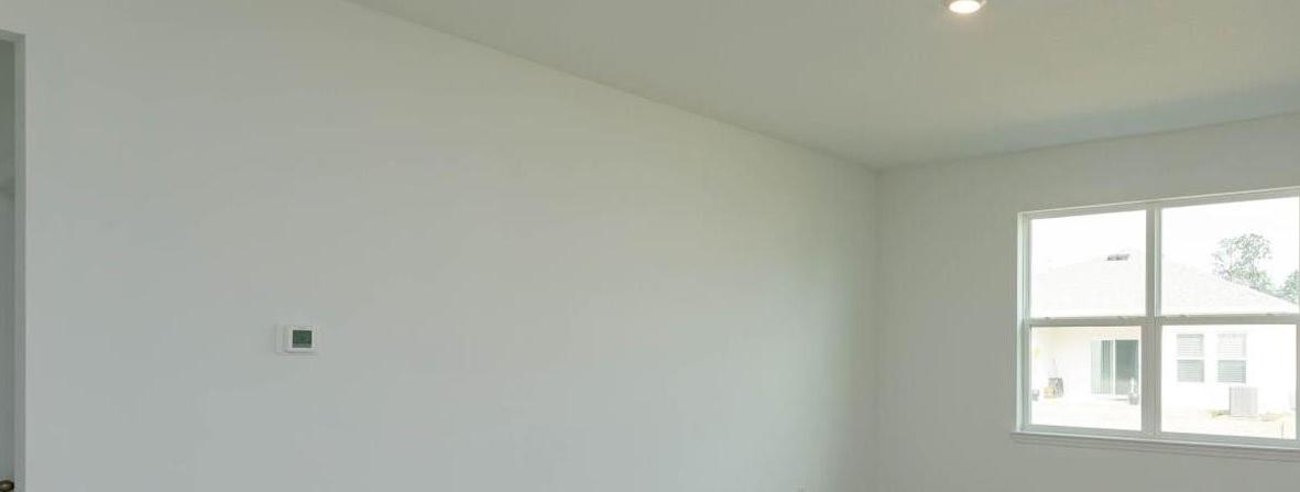 Photo #12