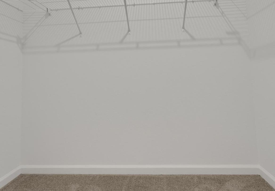 Photo #31