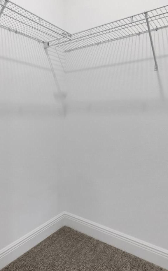 Photo #42