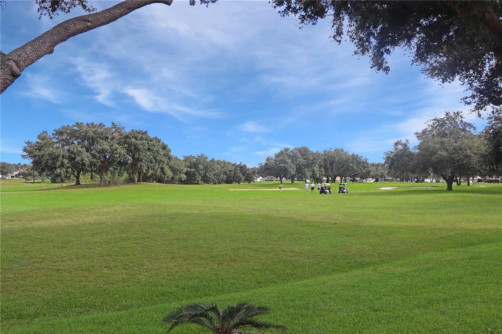 Photo #34