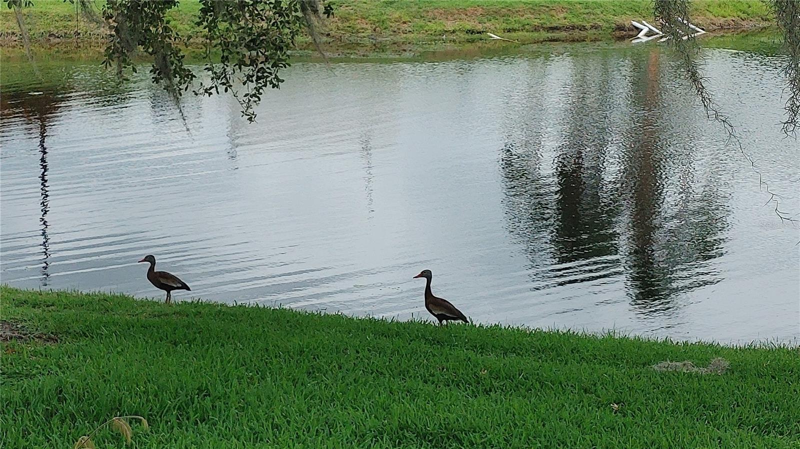Photo #4