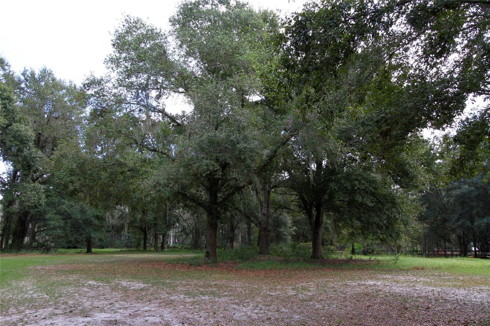 Photo #18