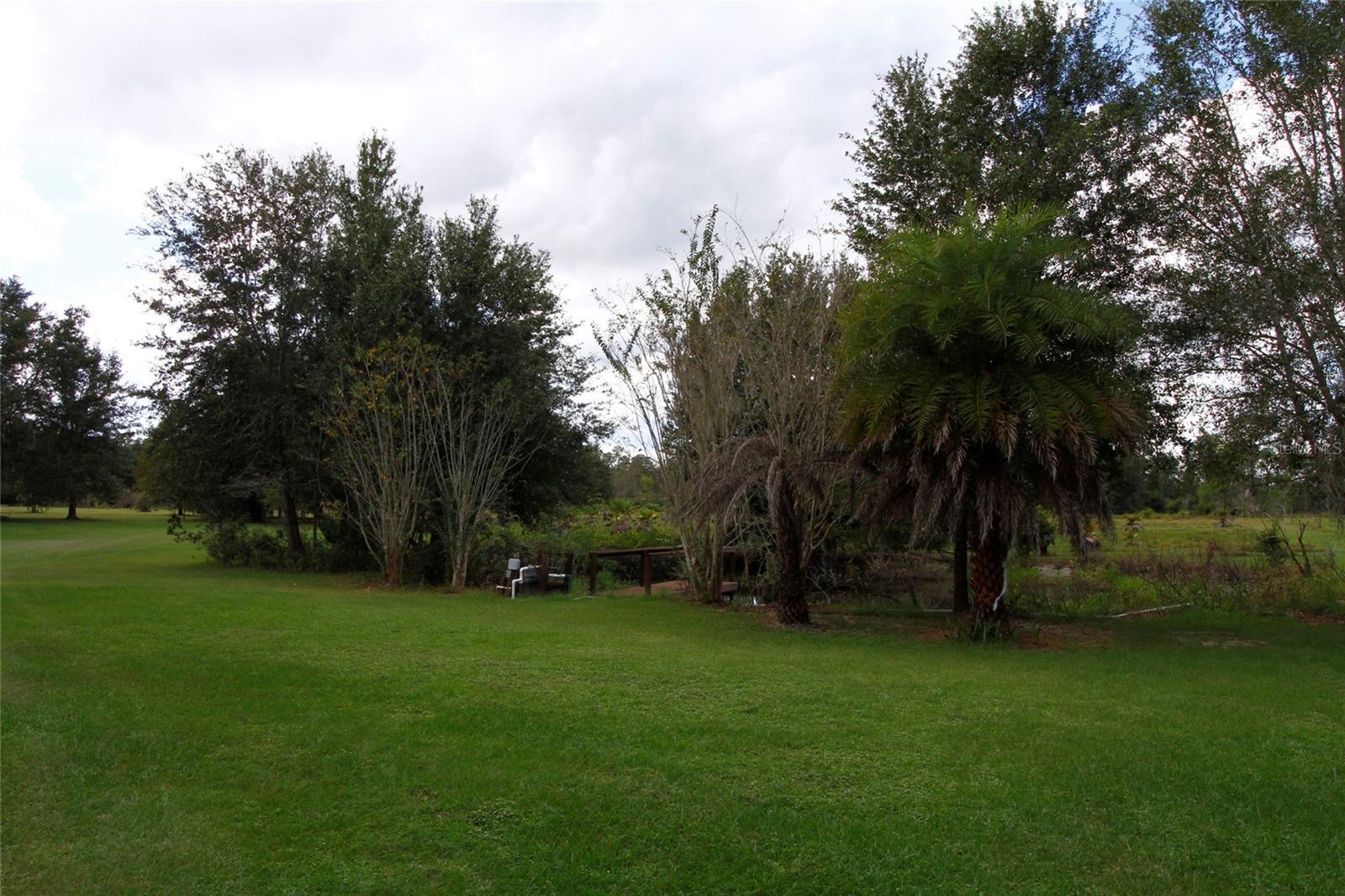 Photo #31