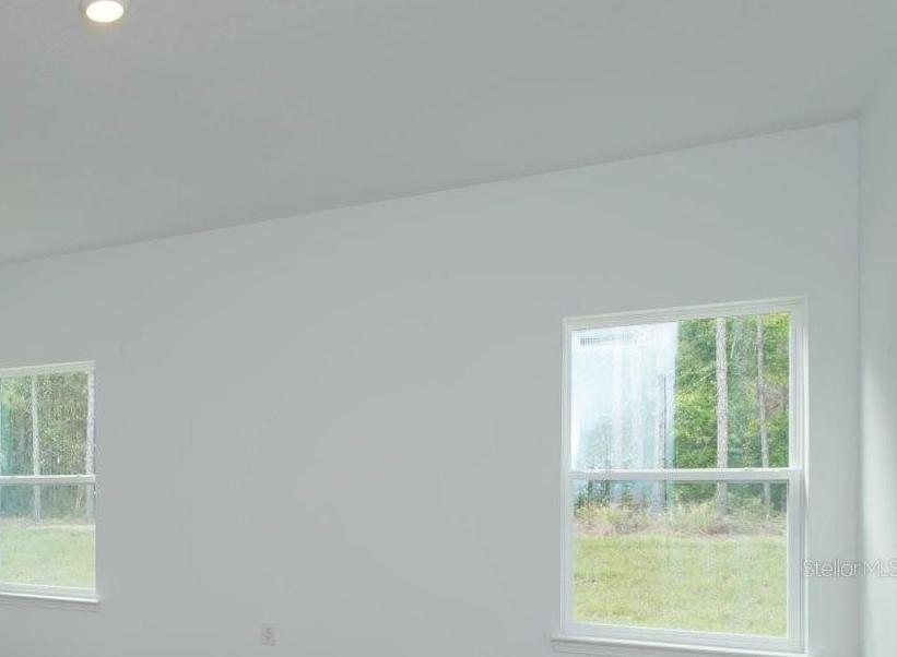 Photo #13