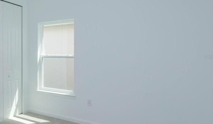 Photo #19