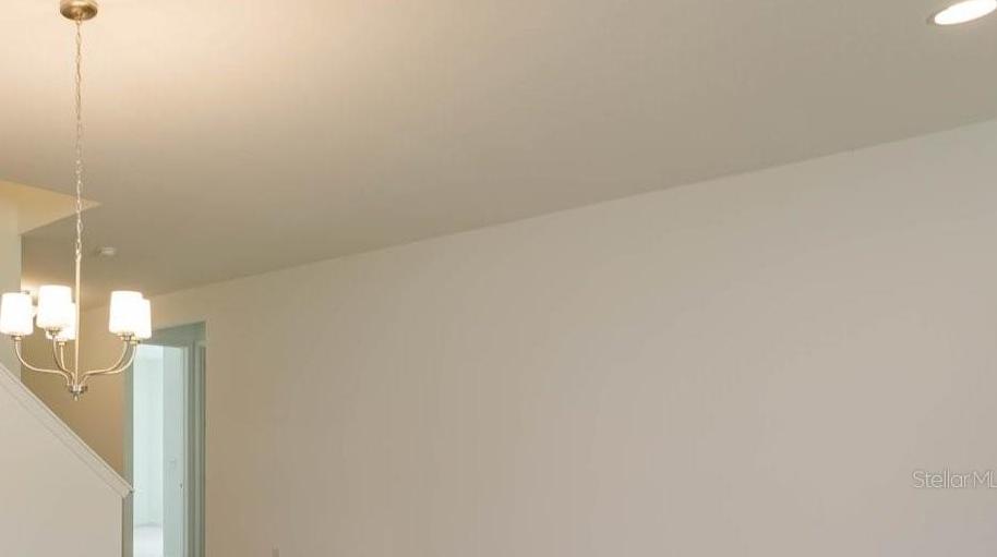 Photo #5
