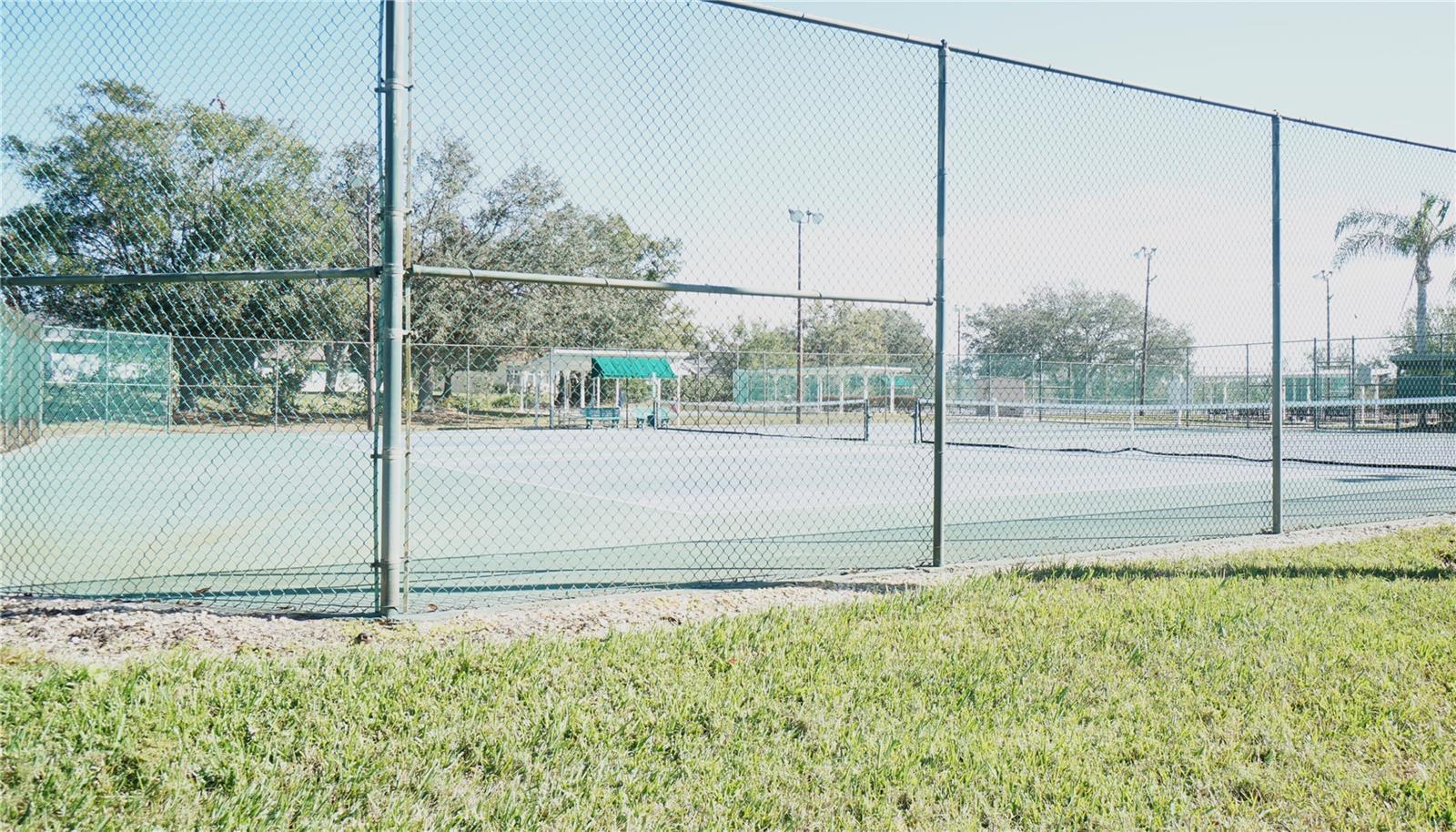 Photo #30