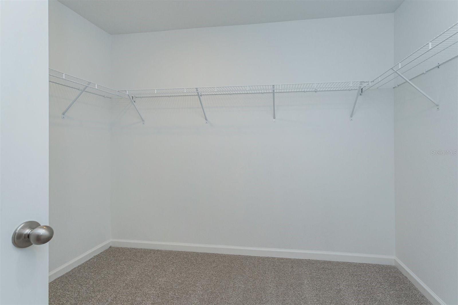 Photo #16