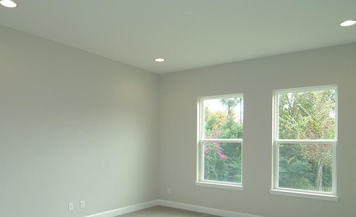 Photo #14