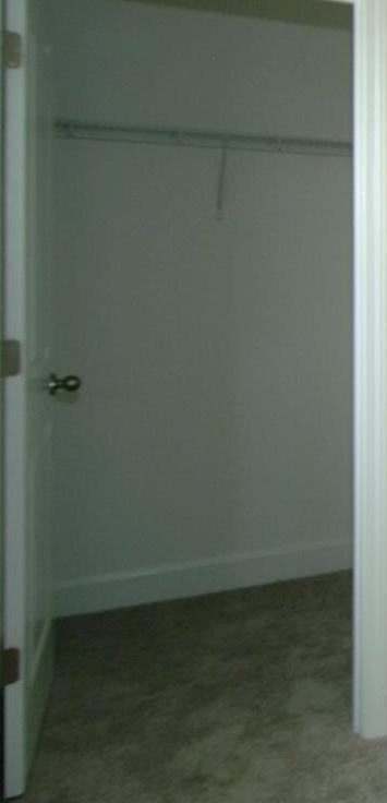 Photo #38