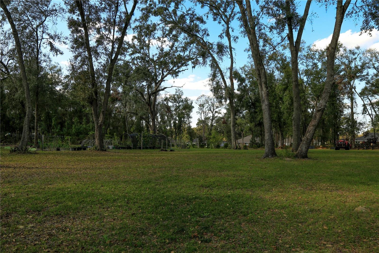 Photo #5