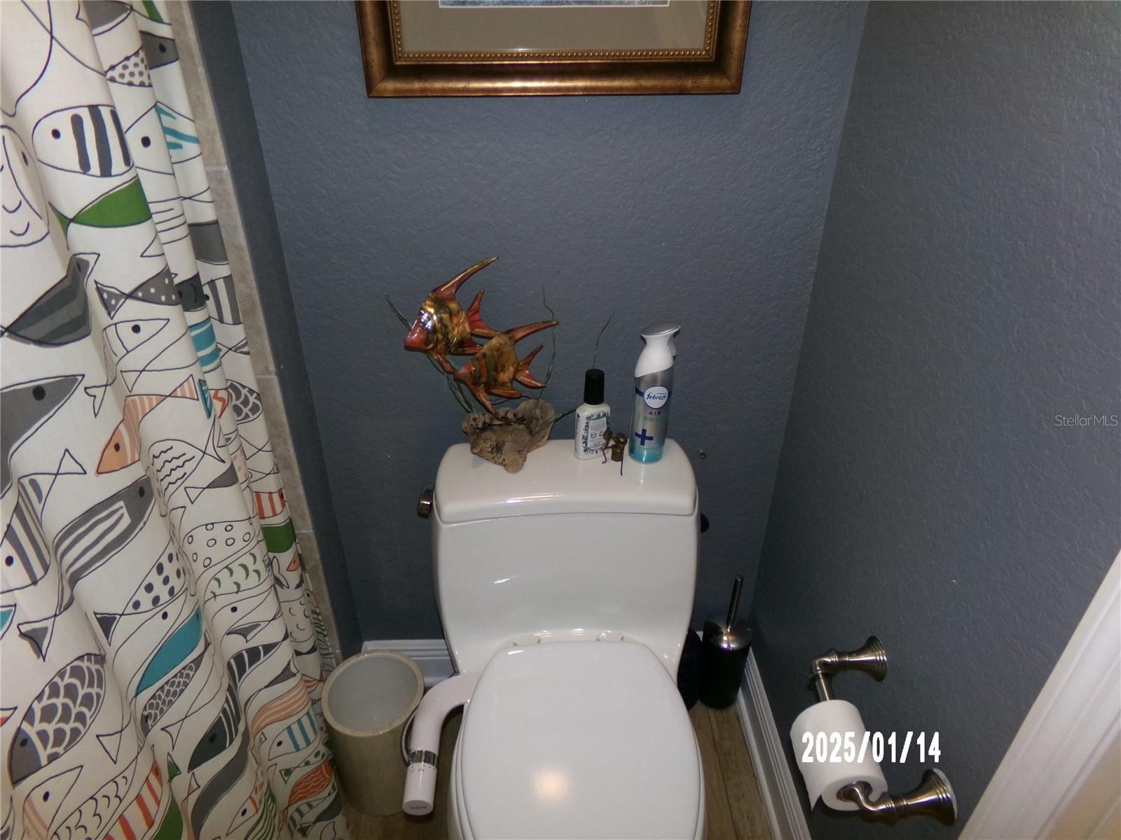 Photo #54