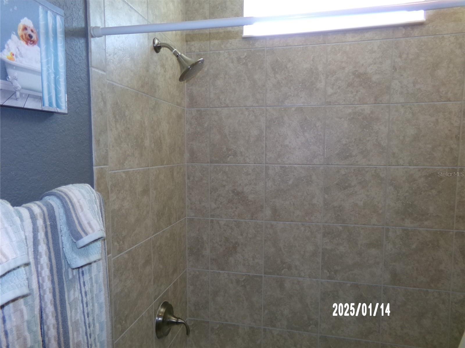 Photo #52