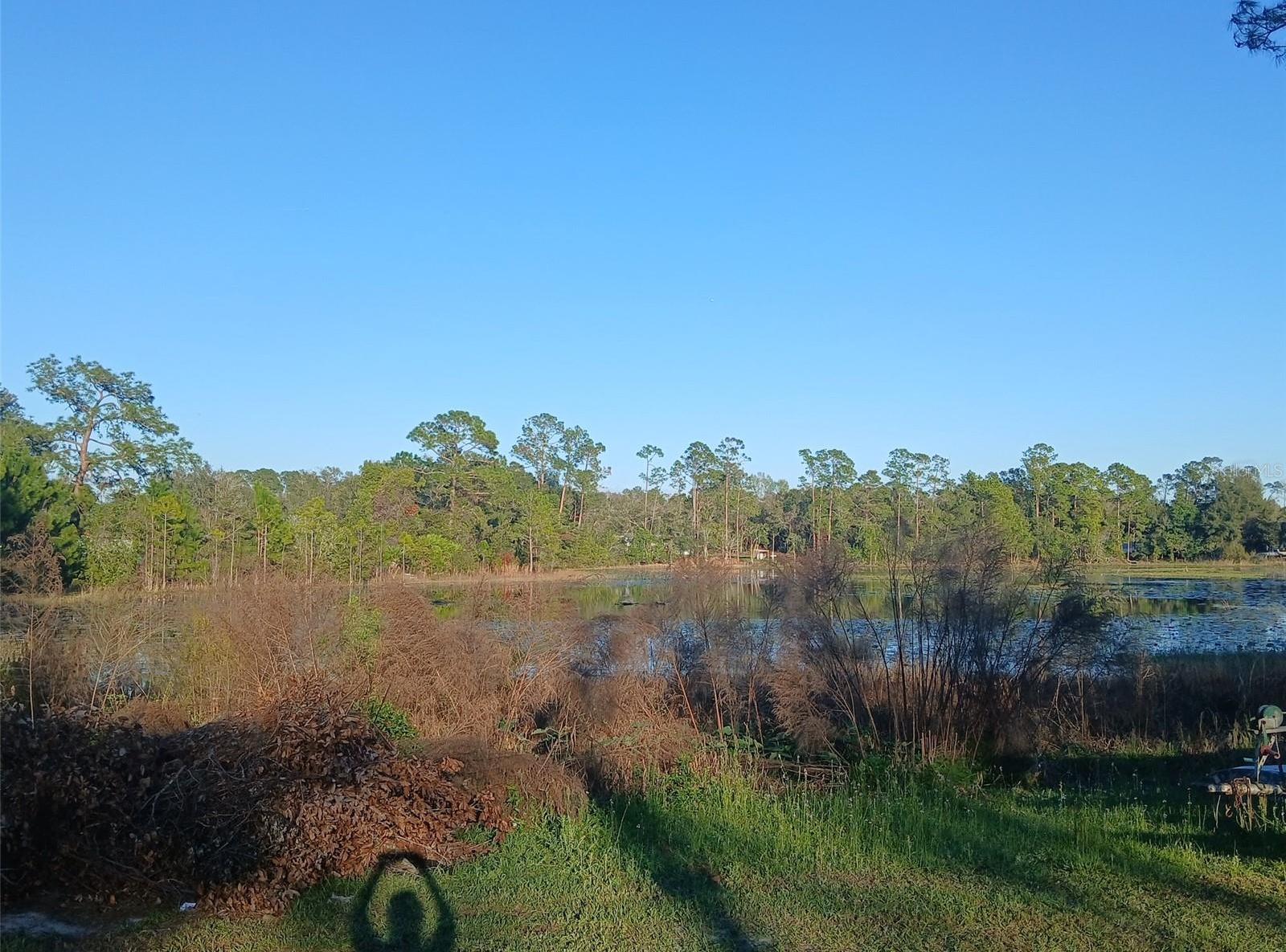 Photo #23
