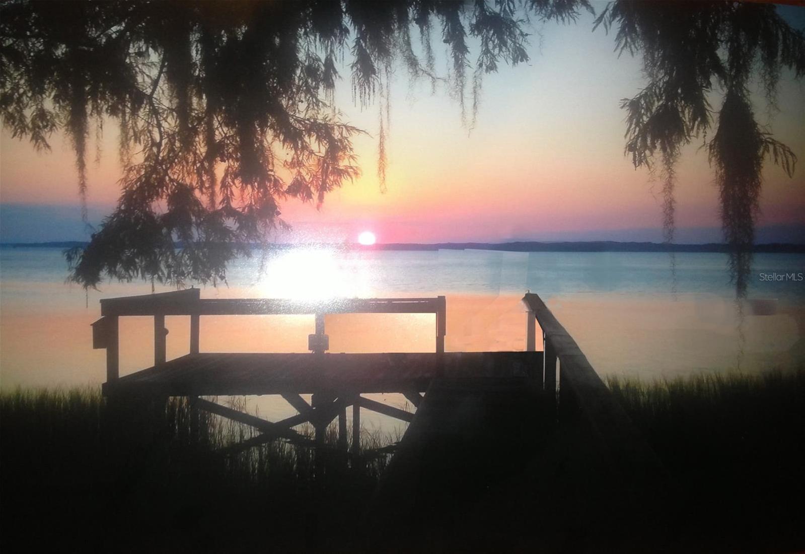 Photo #5