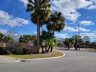 Photo #3