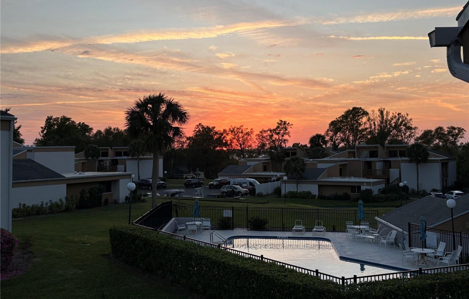 Photo #31