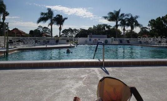 Photo #12