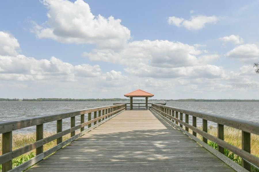Photo #36