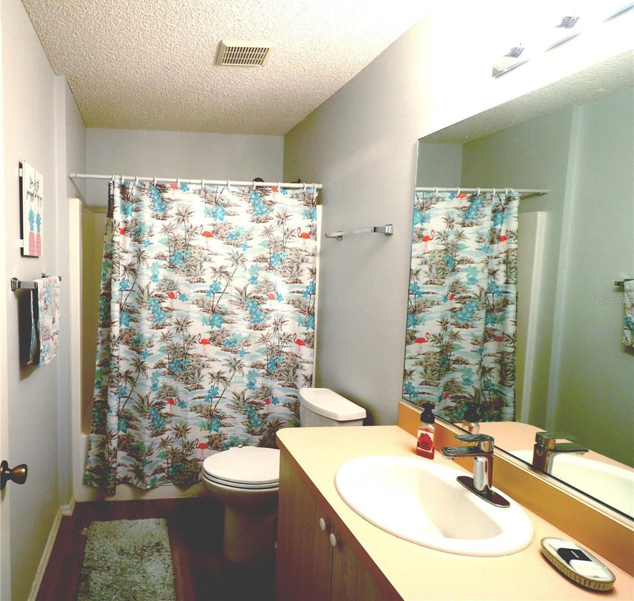 Photo #7