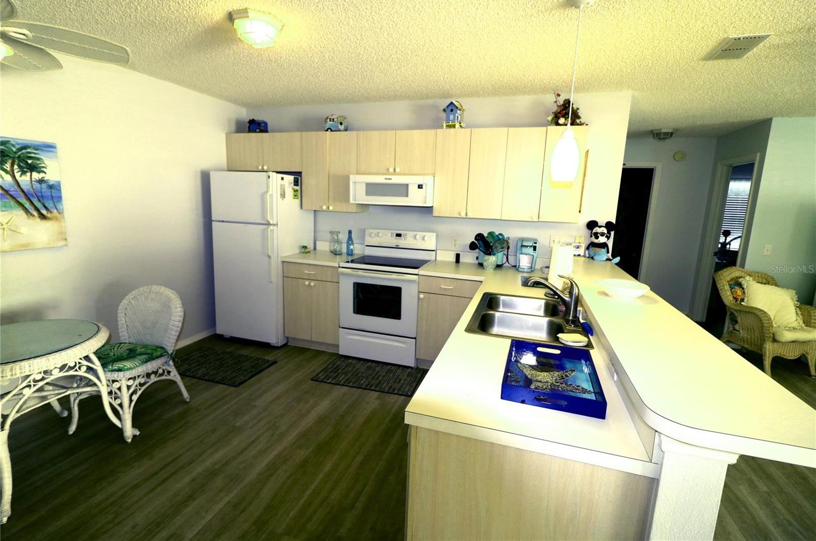 Photo #6