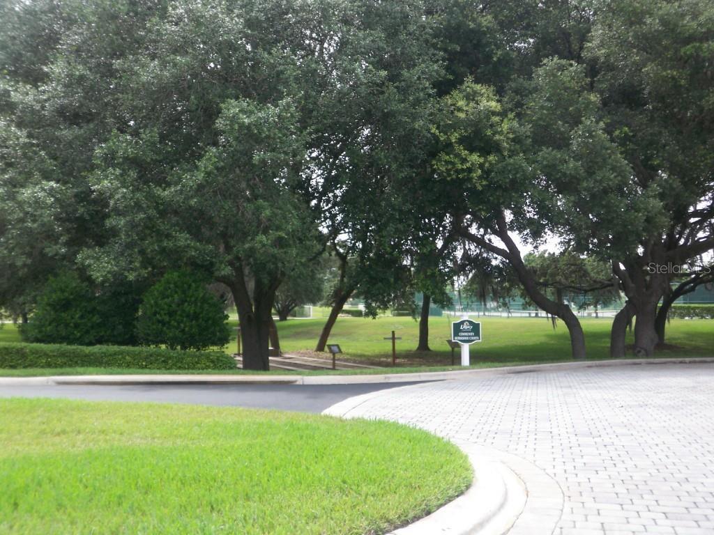 Photo #36