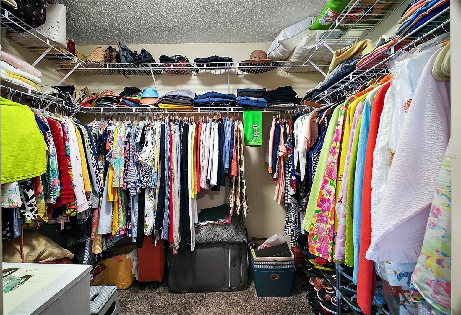 Photo #23