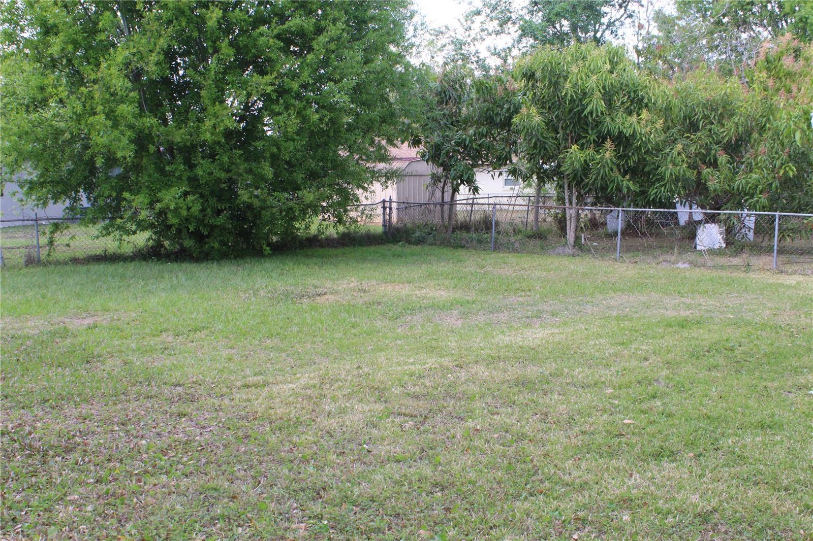 Photo #38