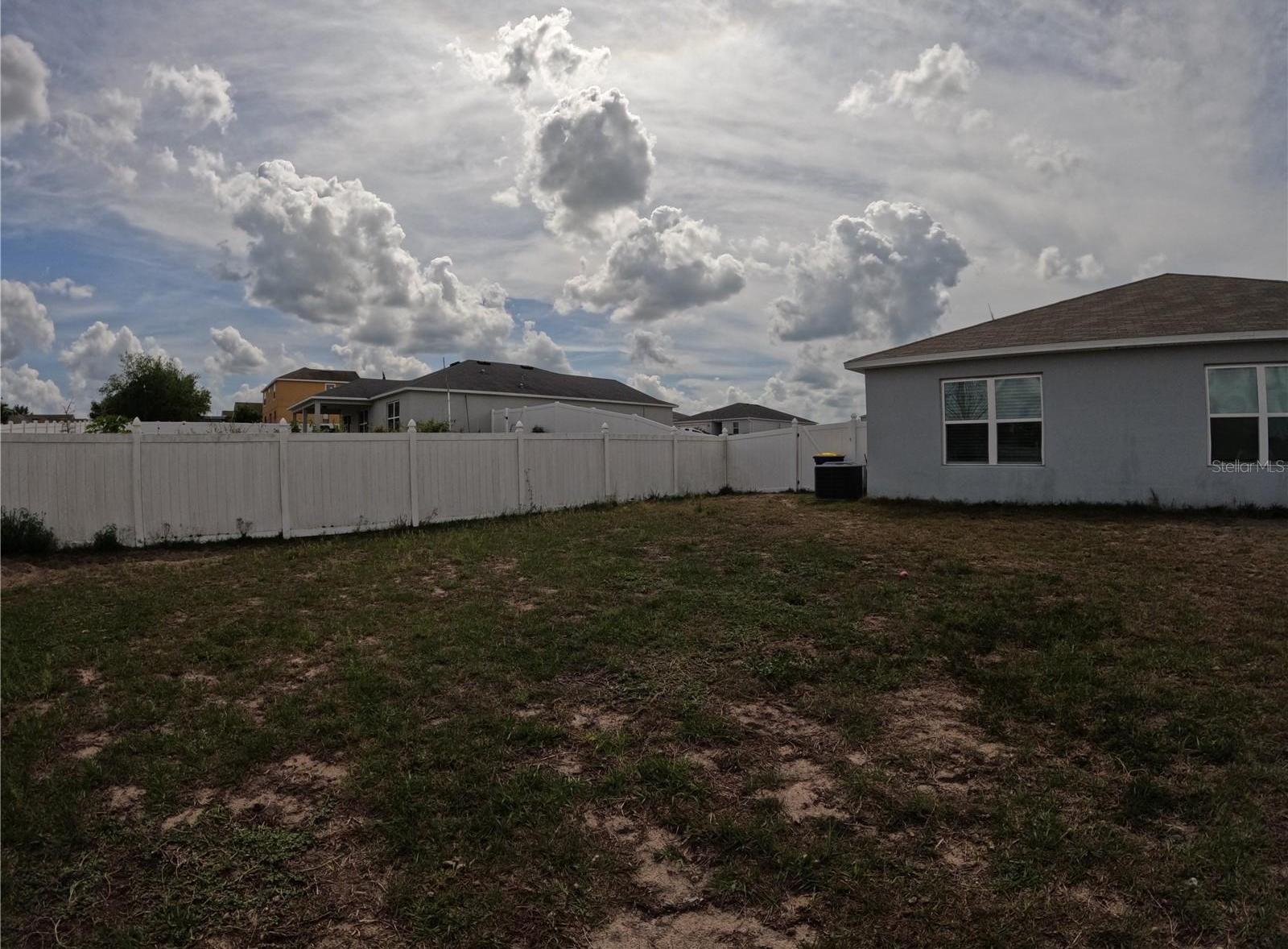 Photo #24