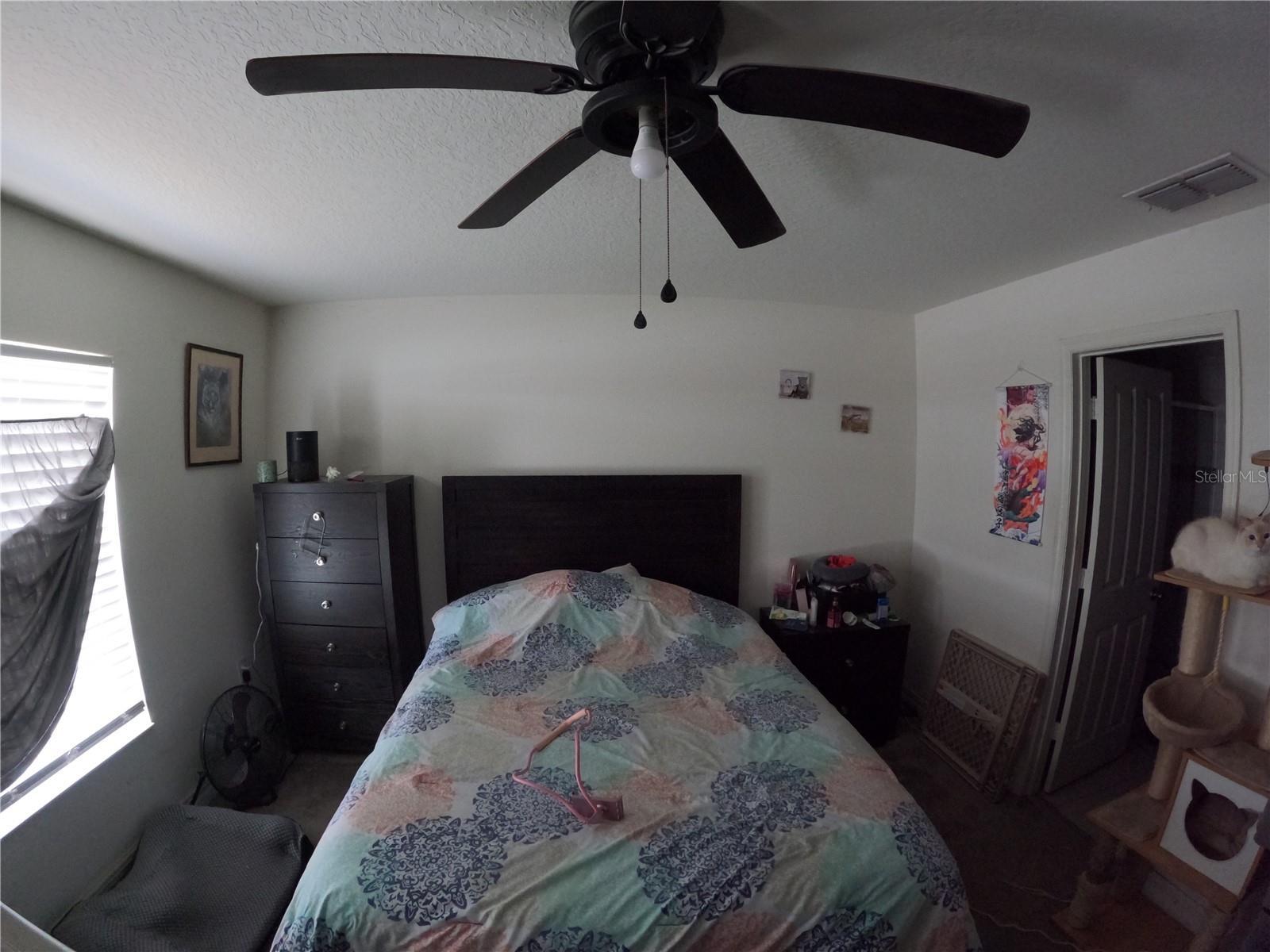 Photo #27