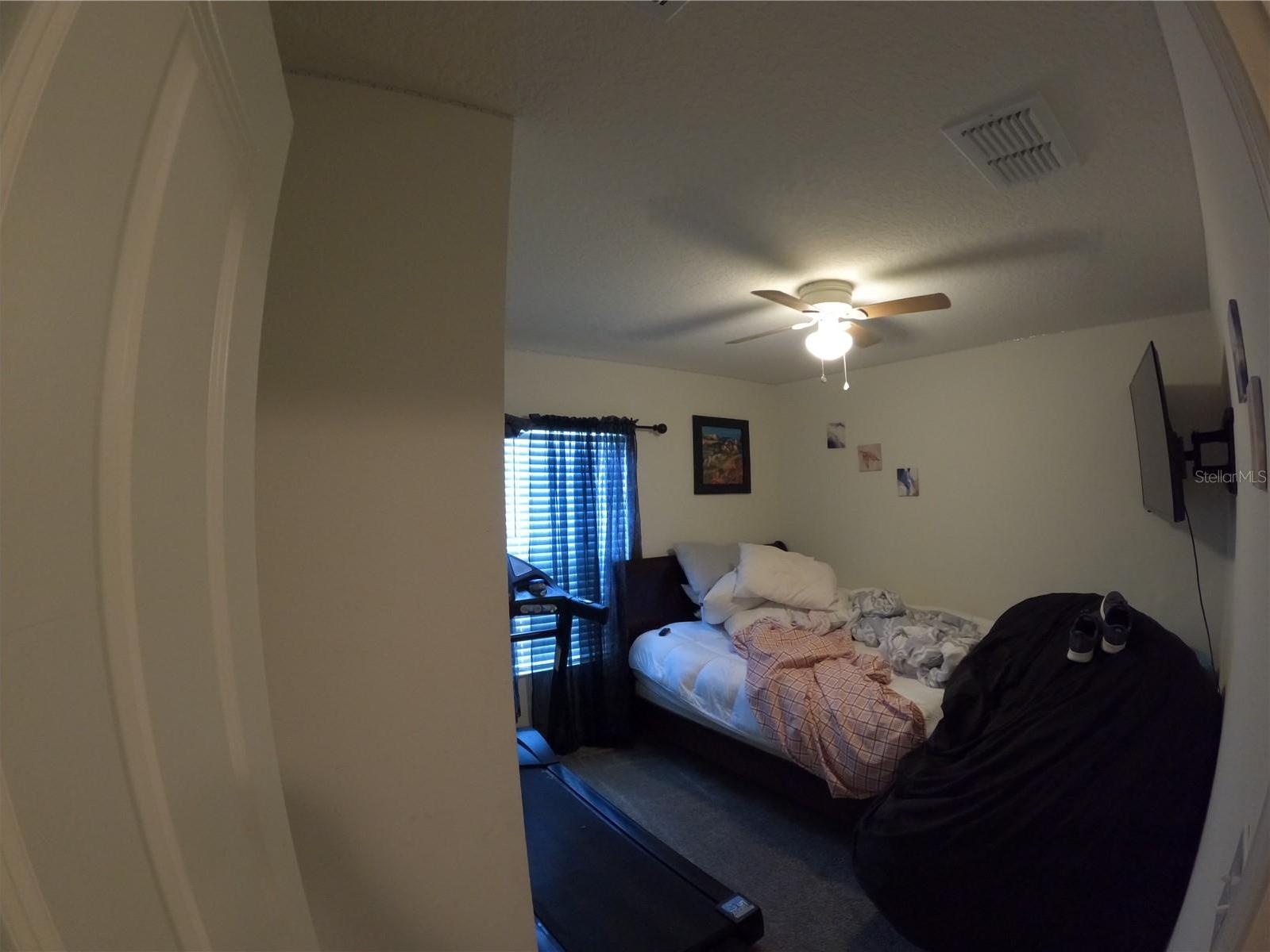 Photo #35
