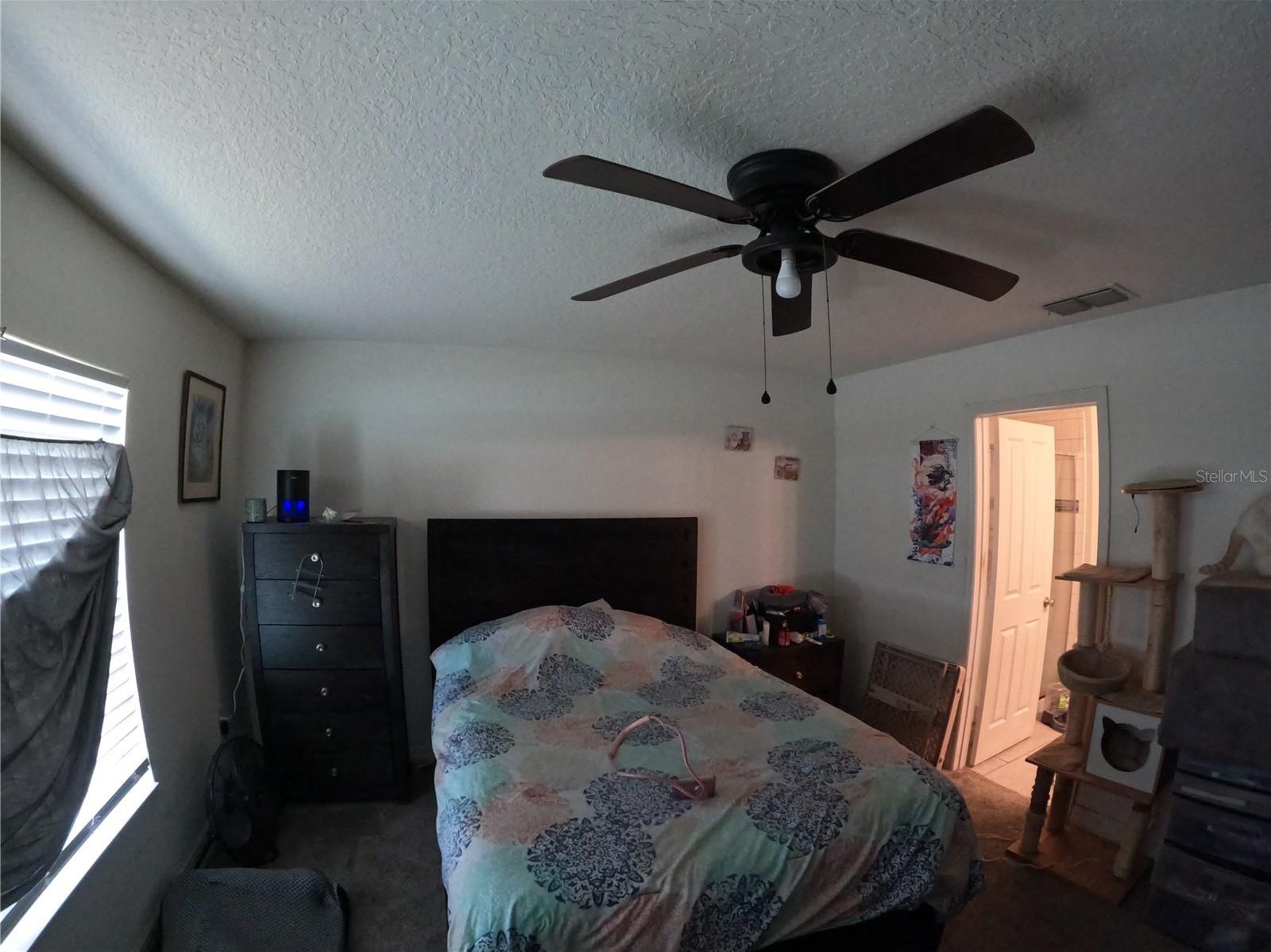 Photo #31