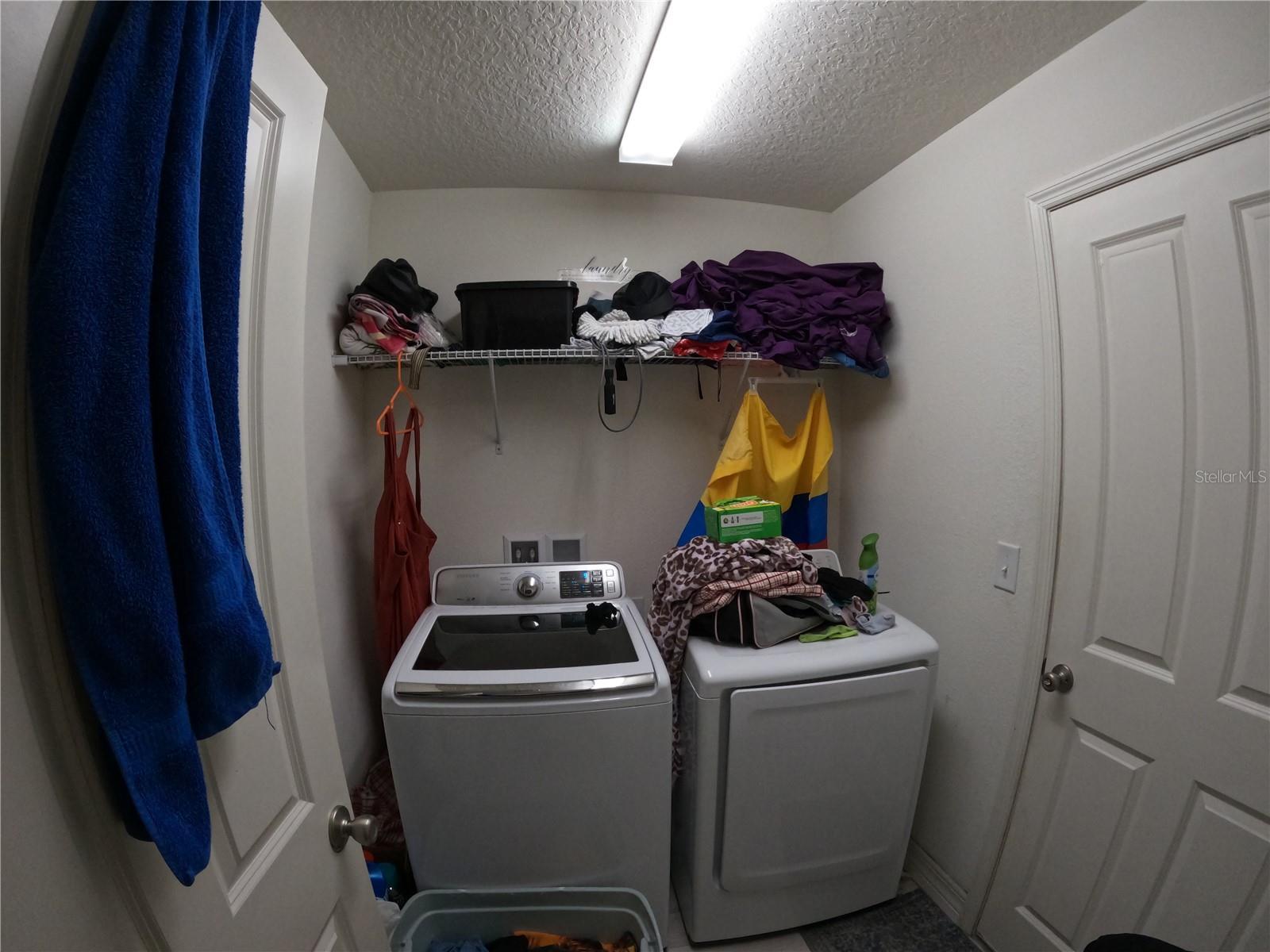 Photo #32