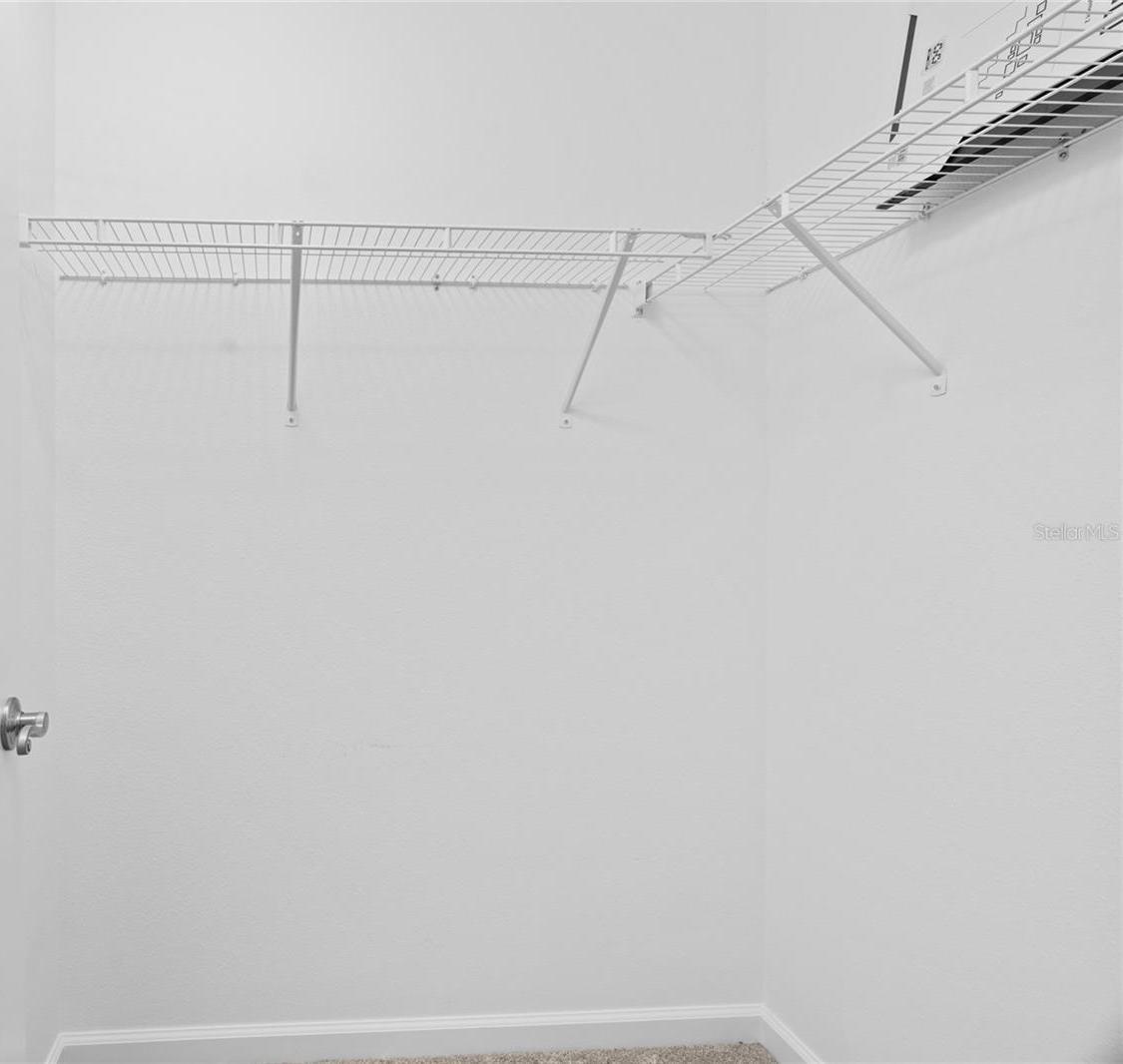 Photo #24