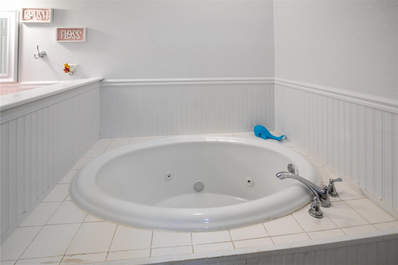 Photo #46