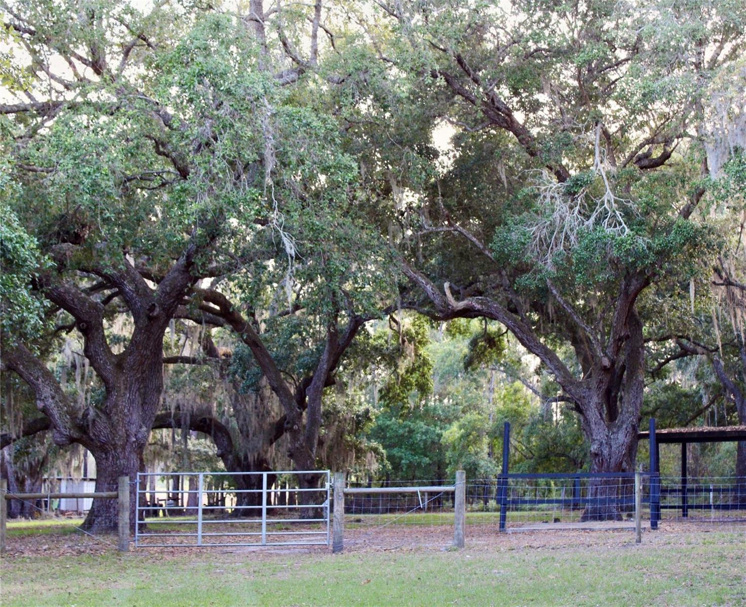 Photo #36